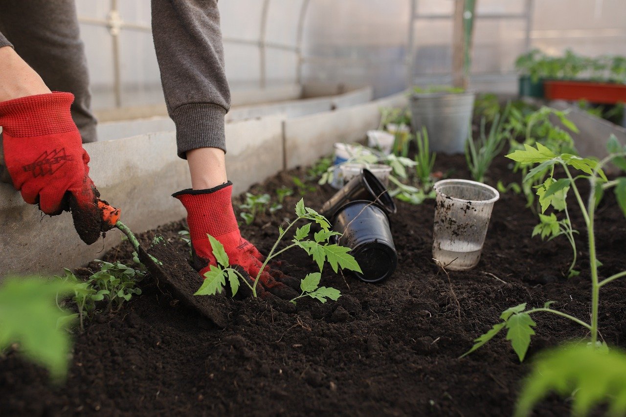 Eco-Friendly Planters