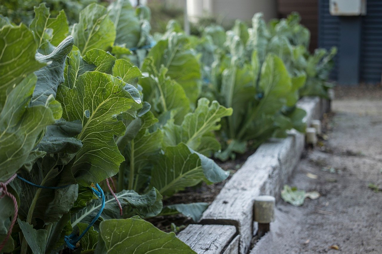 5 Innovative Ways to Reuse Jumbo Bags in Your Home or Garden